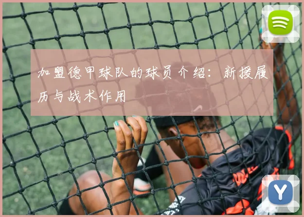 加盟德甲球队的球员介绍：新援履历与战术作用