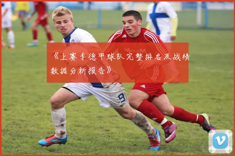 《上赛季德甲球队完整排名及战绩数据分析报告》