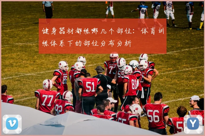 健身器材都练哪几个部位：体育训练体系下的部位分布分析