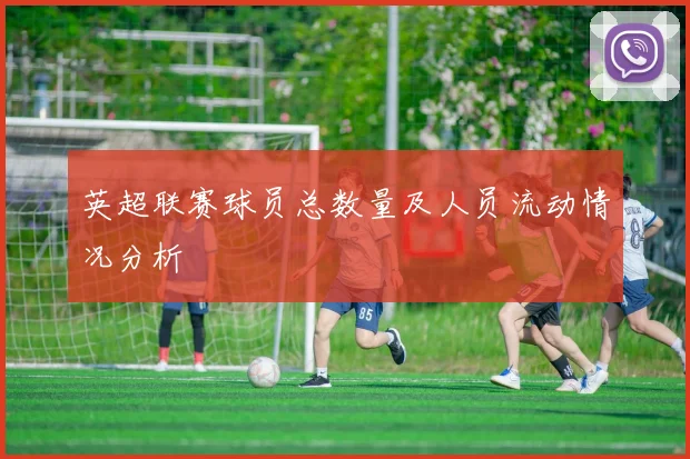 英超联赛球员总数量及人员流动情况分析