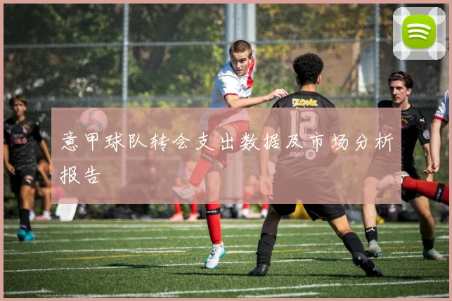 意甲球队转会支出数据及市场分析报告