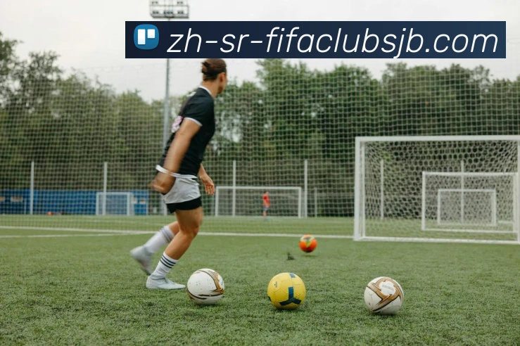 世界杯赛程平台生态图